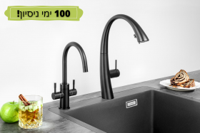 מערכת דגם ראפיד RAPID