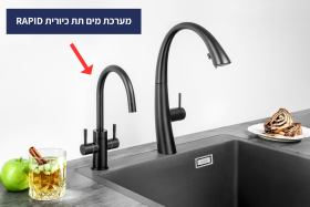 מערכת דגם ראפיד RAPID