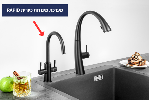 מערכת דגם ראפיד RAPID